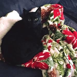 Meet your Posher, Bobbi